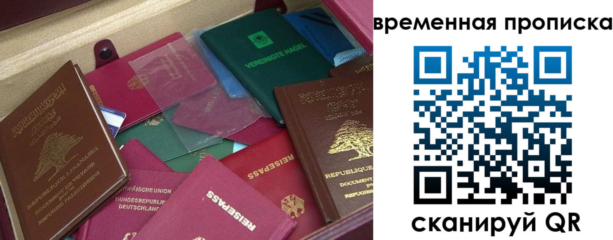прописка в Белой Холунице